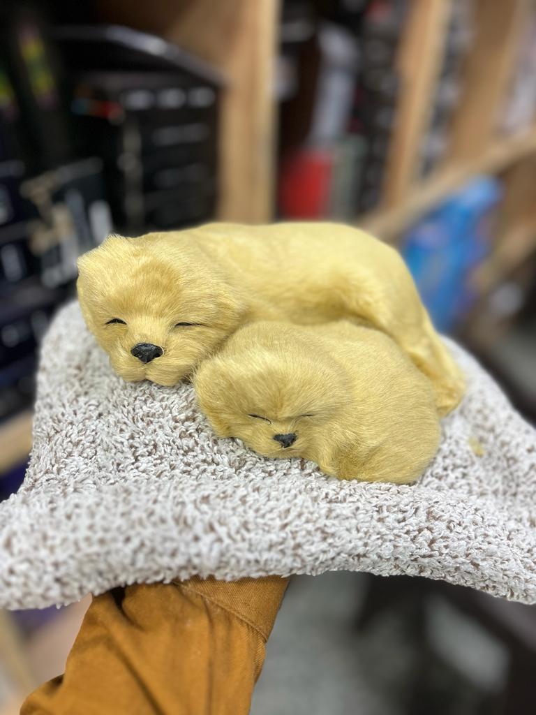 Car dashboard dummy pet toy