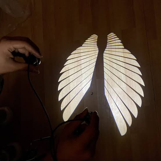 Wings light universal for bike and car (pack of 2)
