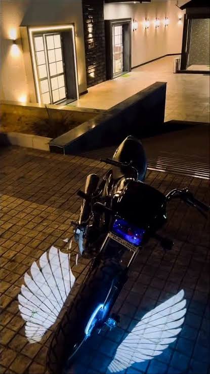 Wings light universal for bike and car (pack of 2)